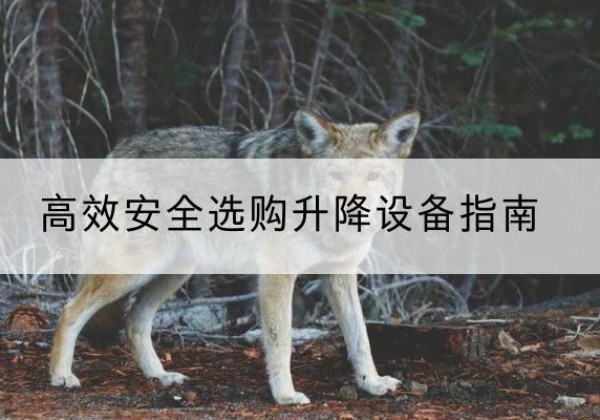 禹州升降货梯厂家推荐-*安全选购升降设备指南