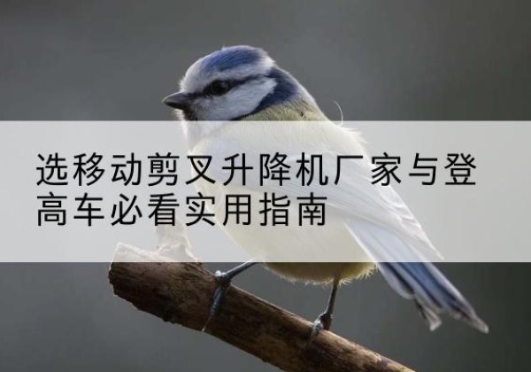 禹州电动升降机厂家-选移动剪叉升降机厂家与登高车必看实用指南