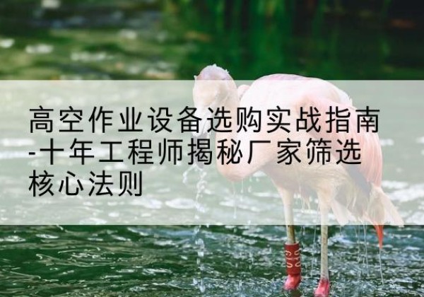禹州剪叉式升降机厂家-高空作业设备选购实战指南-十年工程师揭秘厂家筛选核心法则